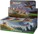 Bloomburrow Play-Booster-Display | 273-AT